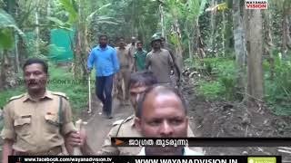 WAYANAD VISION NEWS 8.30 PM MAY 08.05.2019 screenshot 4