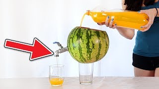 AMAZING WATERMELON EXPERIMENT