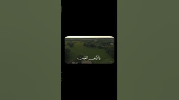 محمد صديق المنشاوي / سورة النمل