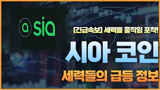 [시아코인] 확실한 일정 락업해제 및 세력들의 역대급 대상승 시나리오 공개! 시아 코인 