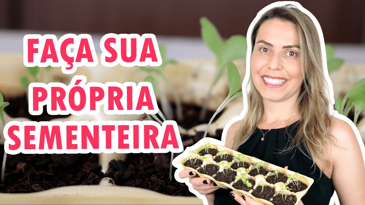 Como fazer uma sementeira e uma mini-estufa usando caixa de ovos | Horta fácil