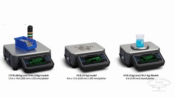 Avery Weigh-Tronix ZK840 Precision Scale Overview