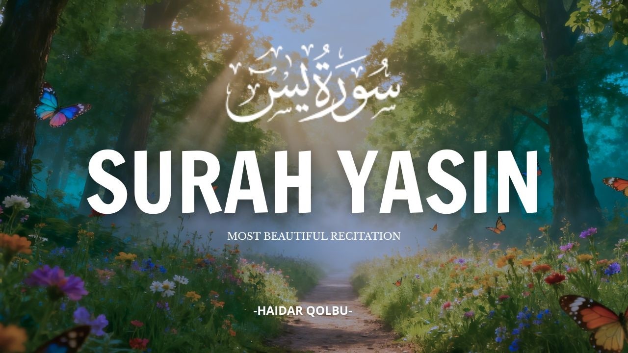 Surah Yasin سورة يس | Calming & Beautiful Reading for Inner Peace by Alaa Aqel || HAIDAR QOLBU