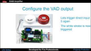 EA60 amplifier VAD output configuration