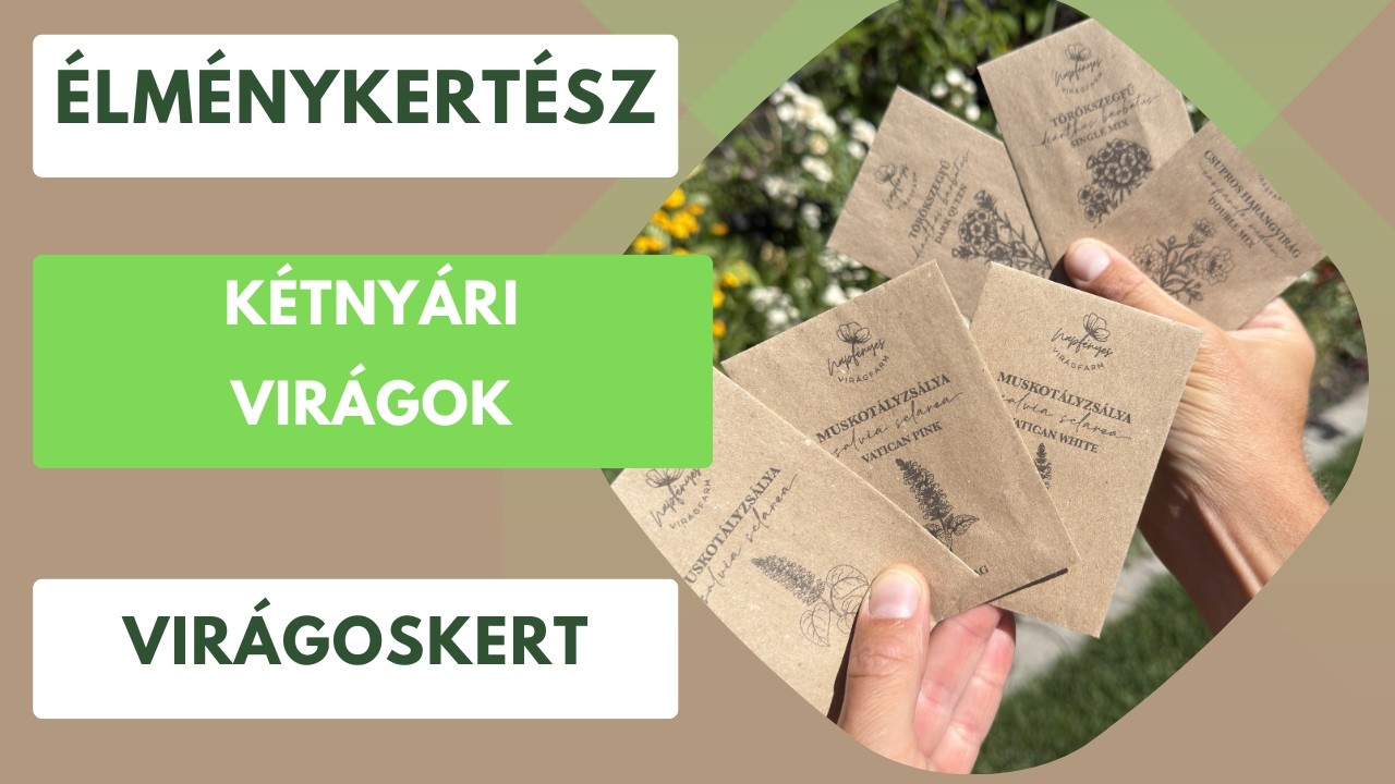 Itt az ideje vetni a gyönyörű kétnyári virágokat!🌼