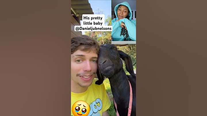 The Human goat... pretty little baby🥹 #love #animals #goat #trending