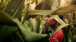 THE FIELD trailer | BFI London Film Festival 2018