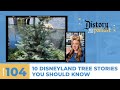 Distory w/ Kate & Kirk Ep. 104: 10 Disneyland Tree Stories You Should Know
