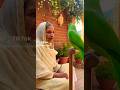 @ShantaIslam-e4n two🦜❤🦜 Bird's#blog#talking parrot#views_viral_video_subscribers_grow