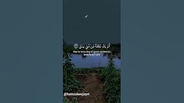 أولى لك فأولى ،تلاوة من سورة القيامة#اكتب_شي_تؤجر_عليه#اجر_لي_ولك#سورة_القيامة#quran#قرآن#حالات