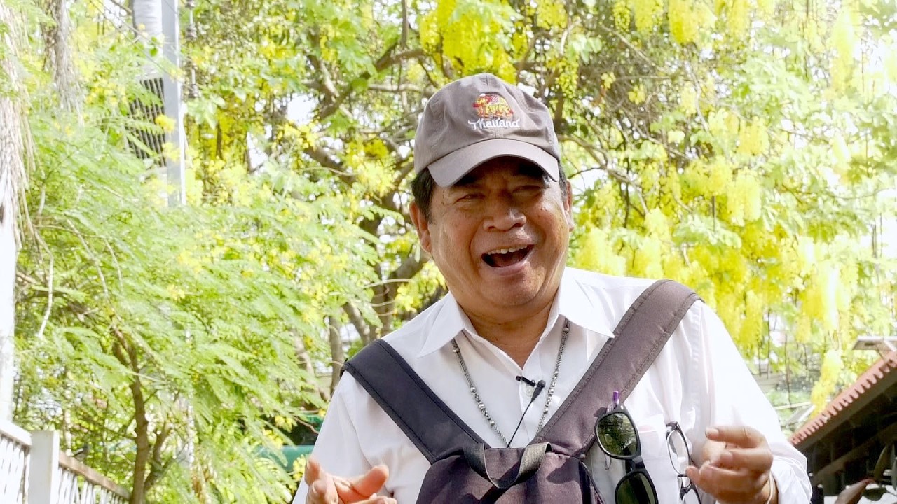 ดอกคูนสีเหลืองจ้า เมื่อยามหน้าแล้งนะจะบอกให้ที่เทเวศน์นี่เองไง