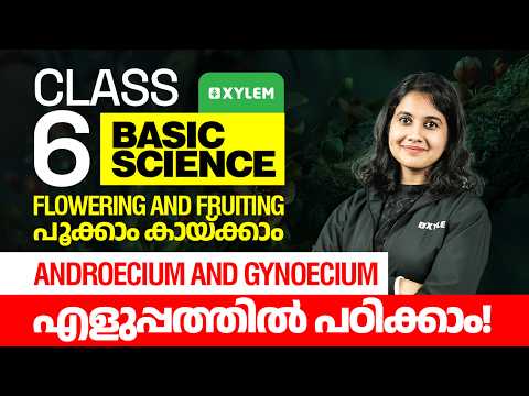Class 6 Basic Science | Flowering and Fruiting – പൂക്കാം കായ്ക്കാം | Androecium & Gynoecium