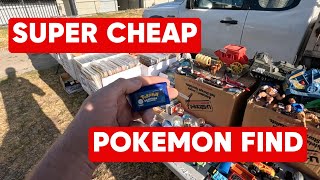A Cheap Pokemon Game in the Wild? THIS NEVER HAPPENS!