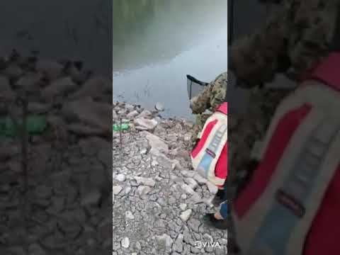 Video: Značajke Ribe Crvene Kapuljače