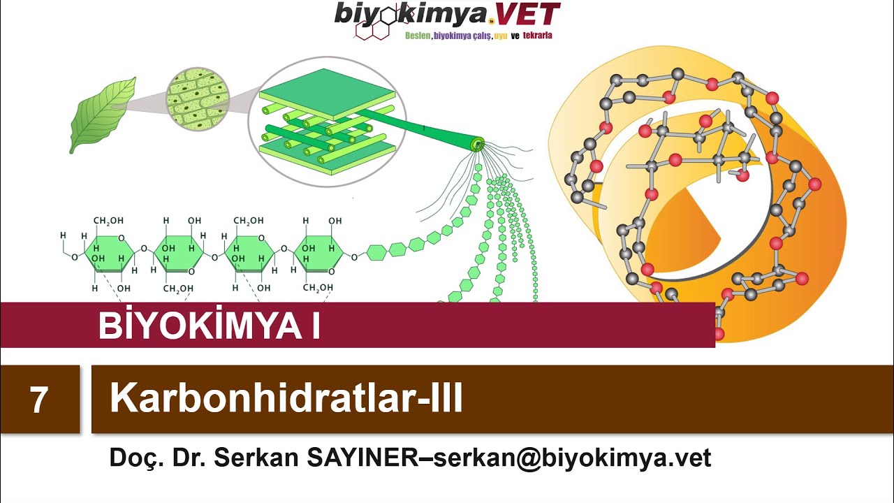 BİYOKİMYA-I | Konu 7: Karbonhidratlar-III