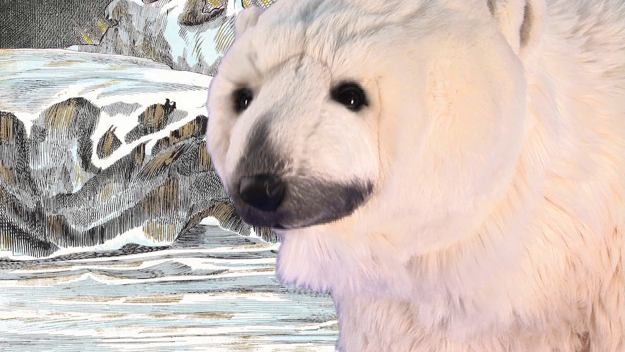 □PolarBear Standing◇Knvd Kyhn◇26cm×16cm◇ Ditz Designs