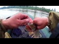 Рыбалка на ЩУКУ на реке Чулым