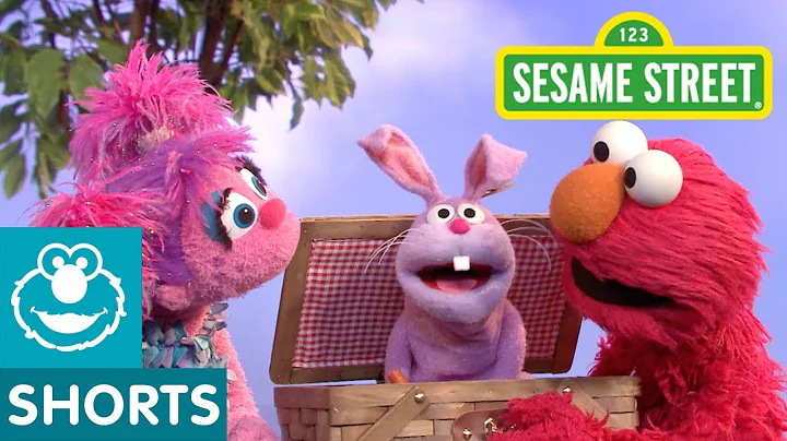Sesame Street: Elmo and Abby's Picnic Basket