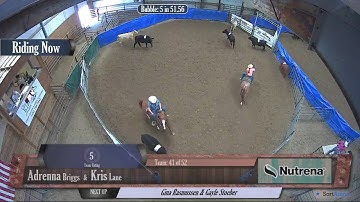 Big Sky Ranch Sorting Saddle Series #5 - #5 - Round #1 - Ride #41