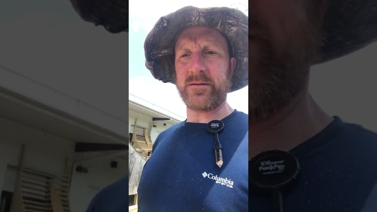 DDASC skatepark ramp construction site tour with Skidmark Parks