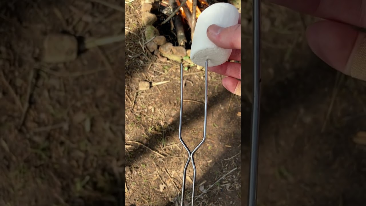 Roasting Marshmallows - A Classic Campfire Treat 