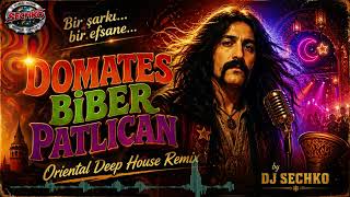 Domates Biber Patlıcan   Barış Manço   Oriental Deep House Remix by DJ SECHKO
