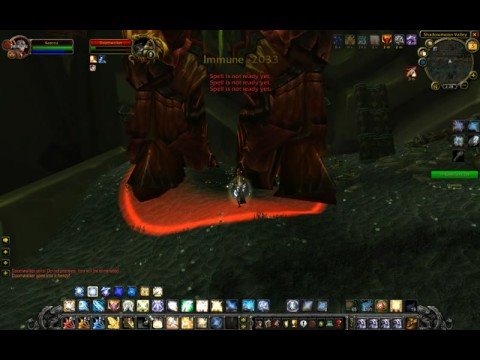 LVL 80 Pally Soloing Doomwalker BUG
