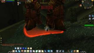 LVL 80 Pally Soloing Doomwalker BUG