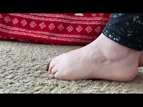 Magazine Catalogue Footplay [25 Days Of Feet 2021]