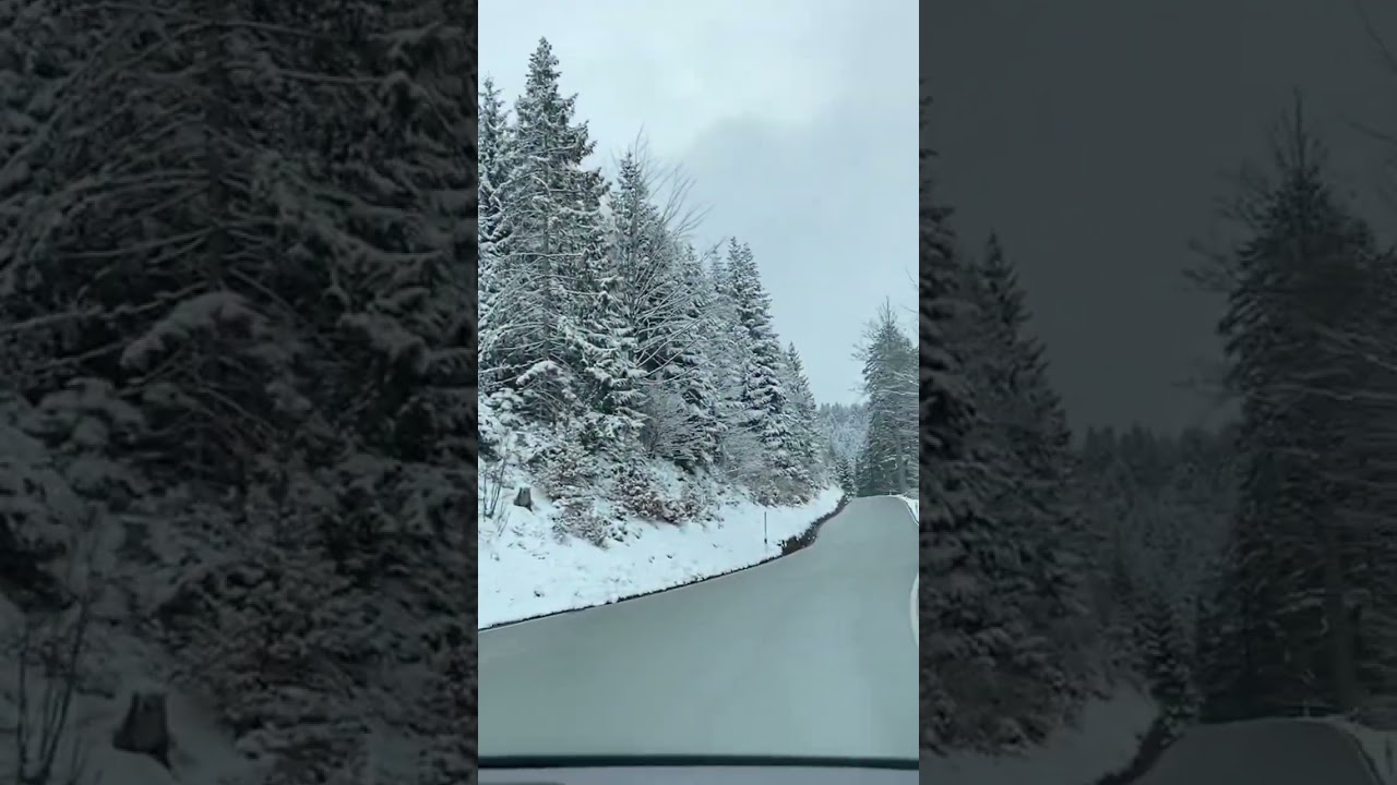 Winter wonderland || Drive in Black Forest Germany