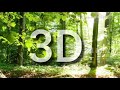 3d song Car Mein Music Baja (Neha Kakkar Voice)