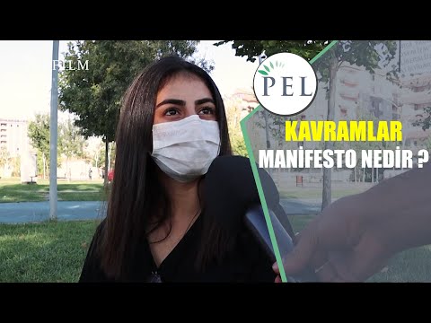 Video: Bir manifestonun amacı nedir?