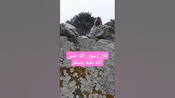 حديث الرسول#اذكار_المساء #دعاء_الرزق #اذكار_الصباح #أذكارالنوم #دعاء_الأم #دعاء_الصباح #دعاء