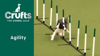Agility  Championships  Intermediate/Large (Jumping) Part One | ​Crufts 2023