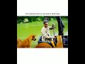Dogs were gaurd there #song #bollywood #trendingshorts #viralshorts
