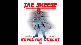 Jae Skeese - Revolver Ocelot (Album) - YouTube