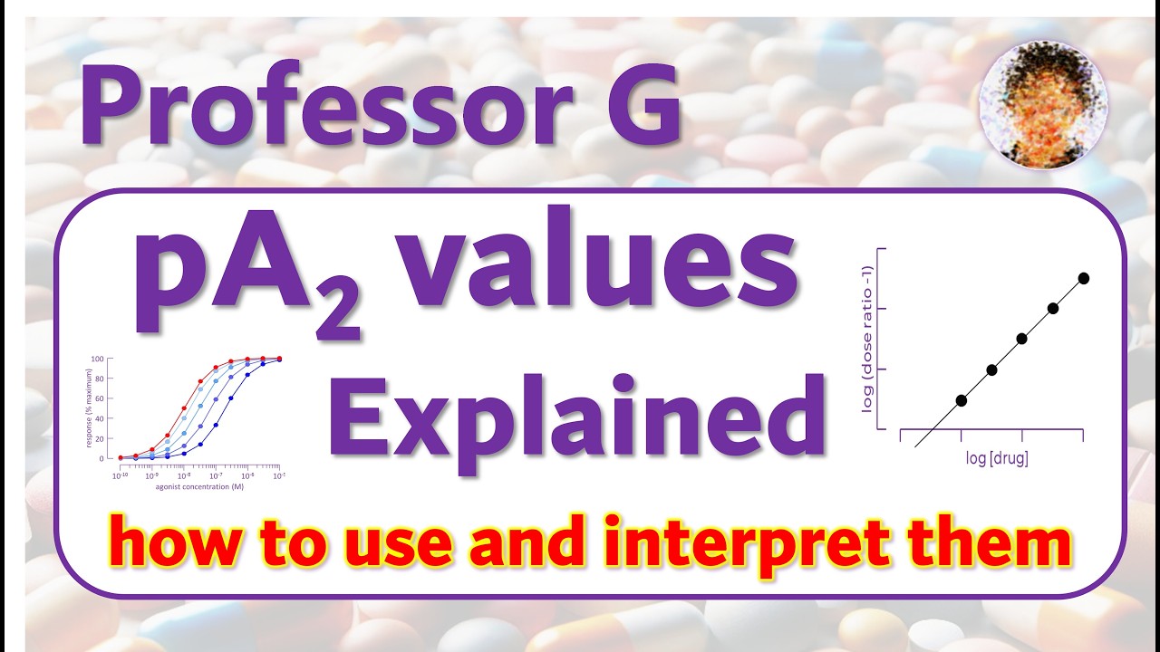 pA2 Values Explained: Measure & Interpret Antagonist Potency (Schild ...