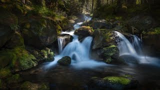 تدفق السلام: موسيقى هادئة للاسترخاء، التركيز، الدراسة، و التأمل | Relaxing Music, Soothing screenshot 3