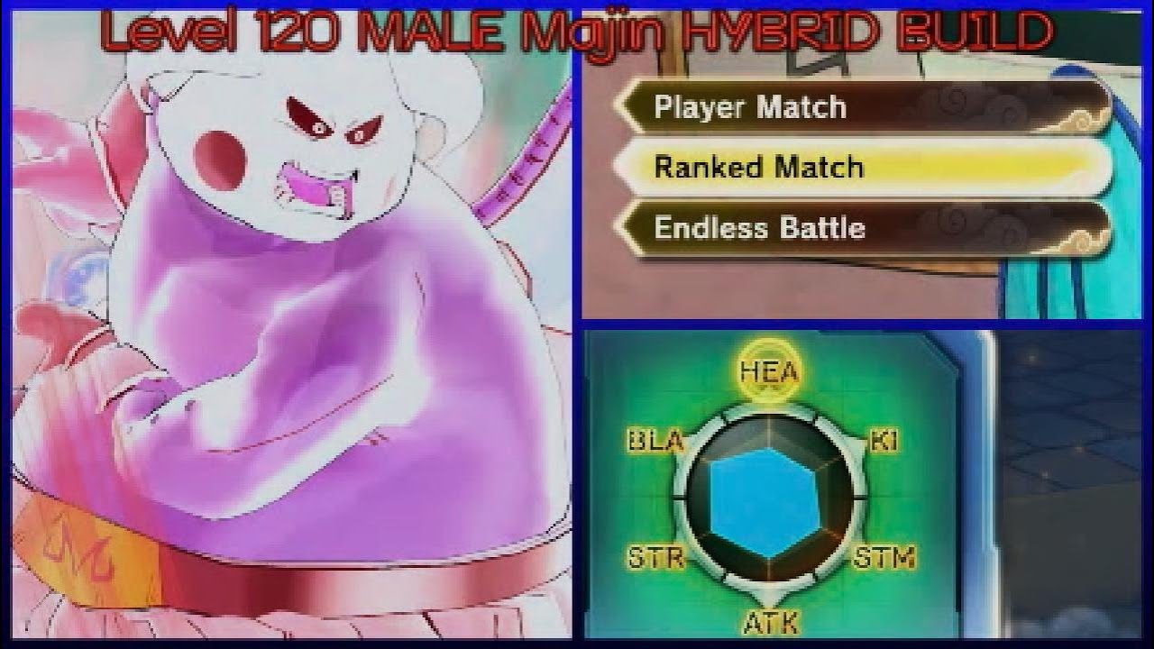 THIS HYBRID MALE MAJIN BUILD CLAPS BOTH WAYS... Pause: Dragon Ball Xenoverse 2