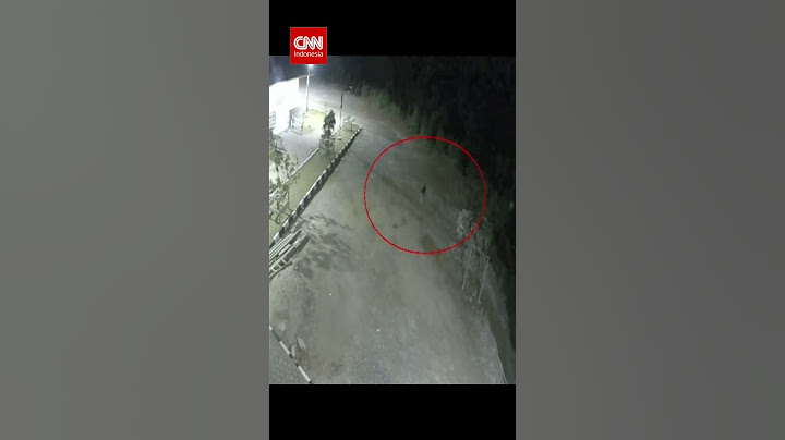 Tertangkap Kamera CCTV, Harimau Masuk Halaman Masjid