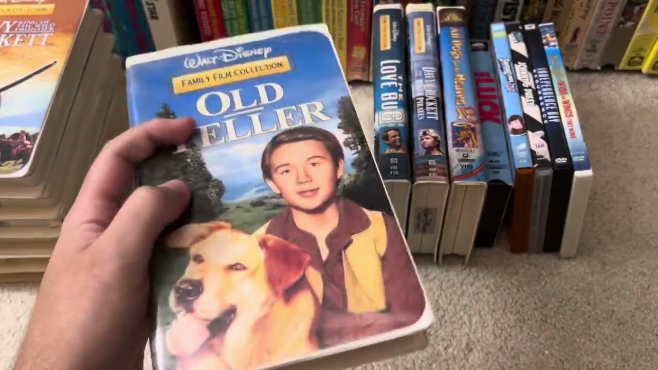 VHS/DVD Update November 24th, 2025