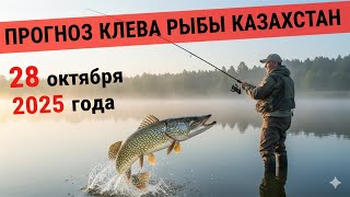 ПРОГНОЗ КЛЁВА в Казахстане на 28 октября 2025 года. Бросай все и на рыбалку!