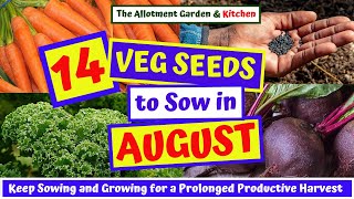 What Veg Seeds to Sow in August | Easy to Grow Veg for an Extended Summer/Autumn/Winter Harvest #122