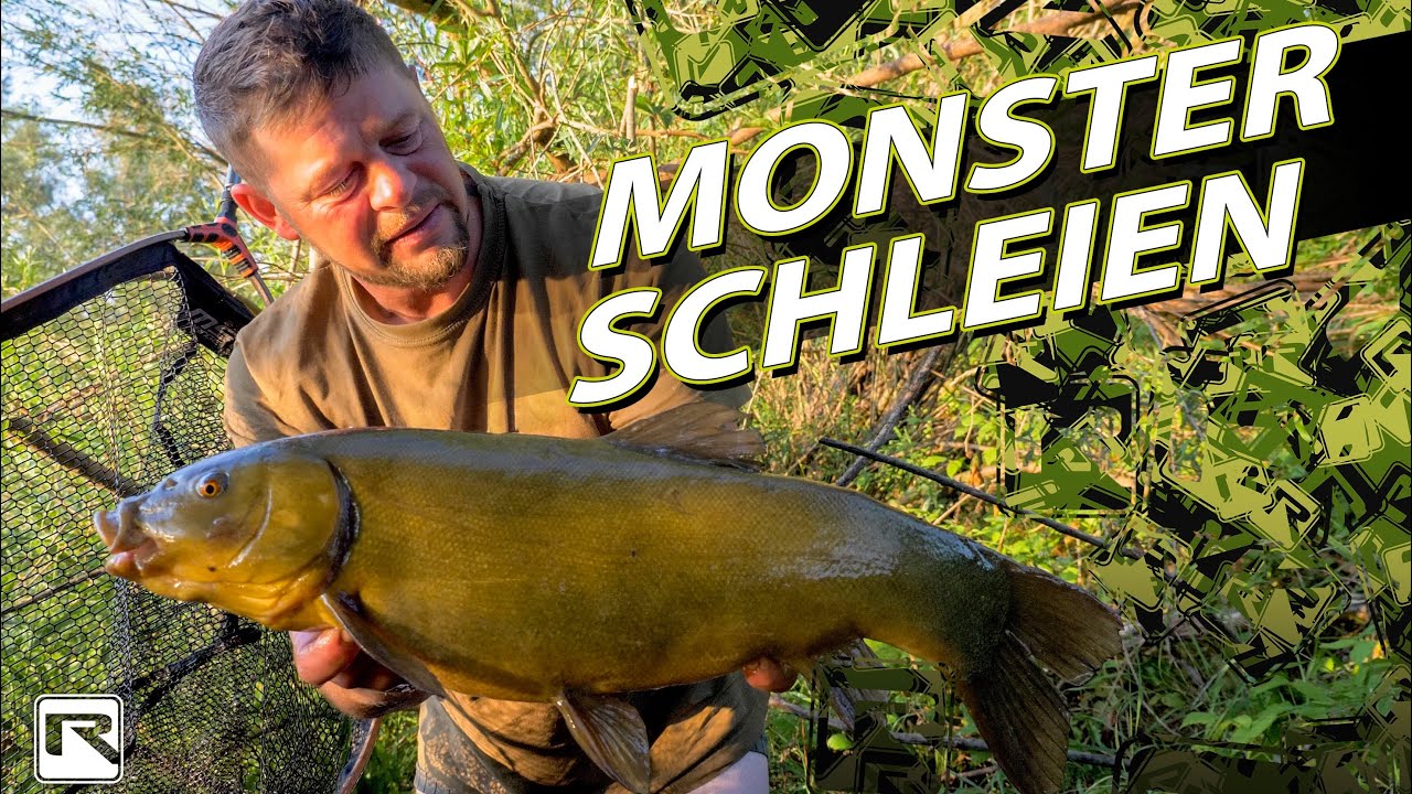 Schleien angeln? So greifst du gezielt die GROSSEN Dinger ab :-) Futter & Montagen - YouTube