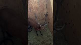 IMG 4084