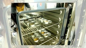 OneLab Promotional Video