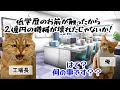 【スカッと猫ミーム】2億の損失を押し付けられた俺の"ひと言"で工場長崩壊…#猫マニ #猫ミーム