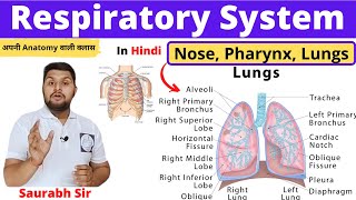 Respiratory system||Lungs||Trachea||Larynx||Nose||for Nursing||Neet||Pharmacy students