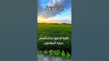 سورة المؤمنون الآية 54 #quran #quran #القرآن_الكريم #القرآن_الكريم #القرآن_الكريم