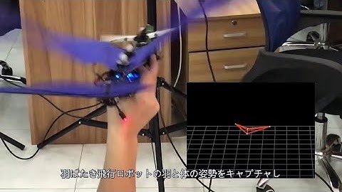 羽ばたき飛行ロボットの飛行軌道と姿勢のキャプチャ